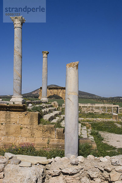 Tempel der Caelestis  römische Ruine Thuburbo Majus  Tunesien. Nordafrika  Afrika