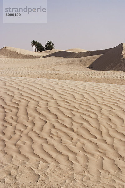 Beginn der Wüste Sahara  Douz  Tunesien  Nordafrika  Afrika