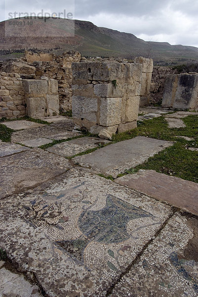 Christliche Basilika  römische Ruine der Bulla Regia  Tunesien  Nordafrika  Afrika