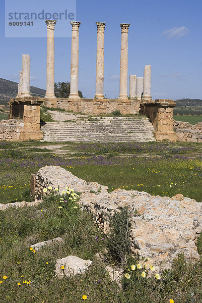 Capitolium (Tempel der drei wichtigsten Göttern)  römische Ruine Thuburbo Majus  Tunesien  Nordafrika  Afrika