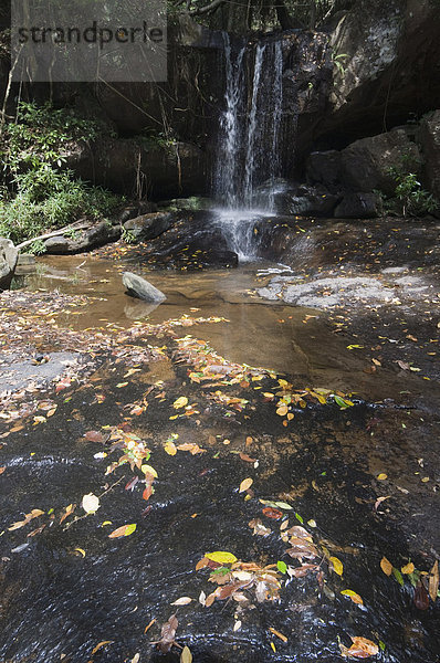 Fluss der tausend Lingas  Kbal Spean  in der Nähe von Angkor  Siem Reap  Kambodscha  Indochina  Südostasien  Asien