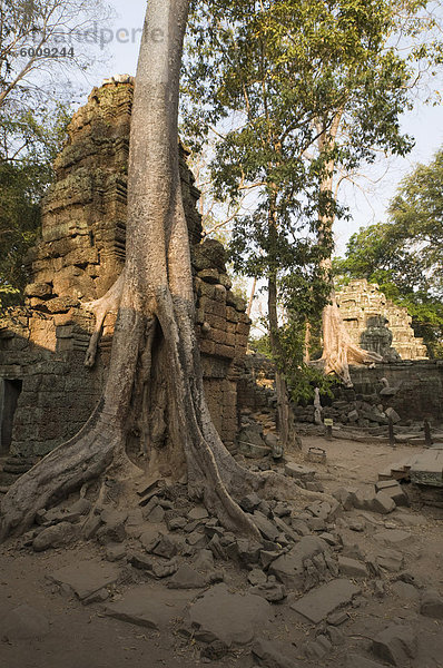 Taprohm Kei Tempel  Angkor Thom  Angkor  UNESCO Weltkulturerbe  Siem Reap  Kambodscha  Indochina  Südostasien  Asien