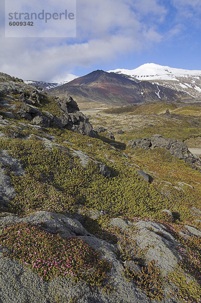 Moos bedeckte Lava Betten Surround Snaefellsjökull  ein aktiver Strato Vulkan begrenzt in Schnee und Eis  auf der Halbinsel Snaefellsnes  Nord-West Bereich  Island  Polarregionen
