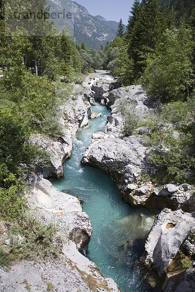 Soca-Fluß mit klar smaragdgrünen Wasser fließt zwischen den erodierten Felsen in Trenta-Tal im Sommer  Nationalpark Triglav  Julische Alpen  Slowenien  Europa