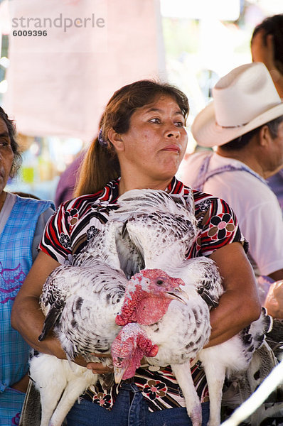 Puten zu verkaufen in Markt  Zaachila  Oaxaca  Mexiko  Nordamerika