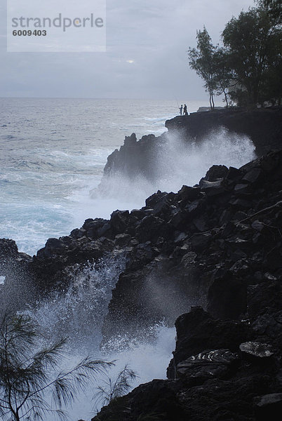 Zwei Hawaiianer Fische am Mackenzie State Park  Big Island  Hawaii  Hawaii  Vereinigte Staaten von Amerika  Pazifik  Nordamerika