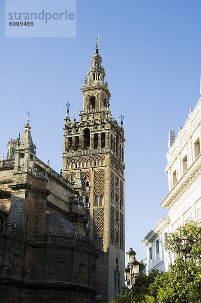 La Giralda  Santa Cruz Kreis  Sevilla  Andalusien  Spanien  Europa