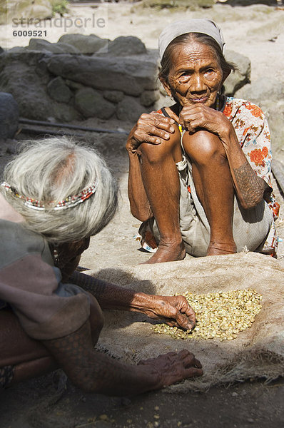 Lokale ältere Igorot Frau sortieren Kaffeebohnen  Tulgao Dorf  nahe der Tinglayan Stadt  die Berge der Cordillera  Kalinga Provinz  Luzon  Philippinen  Südostasien  Asien