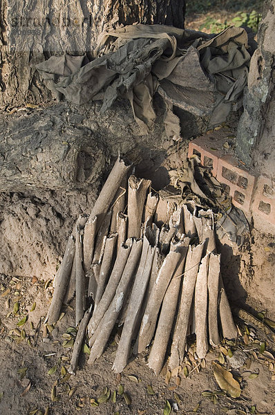 Die Killing Fields  Phnom Penh  Kambodscha  Indochina  Südostasien  Asien