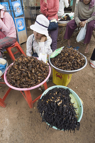 Gekocht  Grillen und Spinnen für das Essen im Markt  Kambodscha  Indochina  Südostasien  Asien