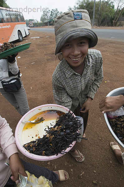 Gekochte Spinnen auf Markt  Kambodscha  Indochina  Südostasien  Asien