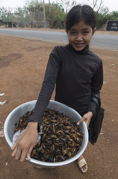 Gekochte Grillen zu verkaufen  Kambodscha  Indochina  Südostasien  Asien