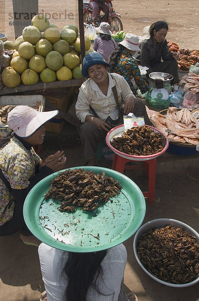 Verkauf gekochte Grillen im Markt  Kambodscha  Indochina  Südostasien  Asien