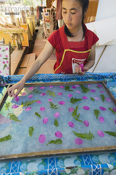 Herstellung von Papier im Dorf in der Nähe von Luang Prabang  Laos  Indochina  Südostasien  Asien