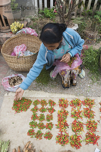 Morgen Lebensmittelmarkt  Luang Prabang  Laos  Indochina  Südostasien  Asien