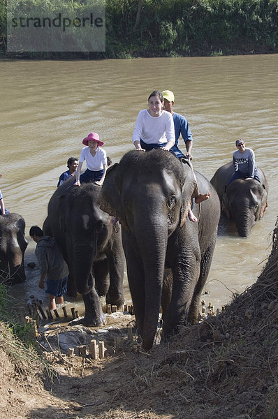 Urlaub Elefant Südostasien Asien Thailand