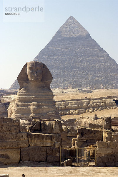 Die Sphinx bei den Pyramiden  Gizeh  UNESCO Weltkulturerbe  in der Nähe von Kairo  Ägypten  Nordafrika  Afrika