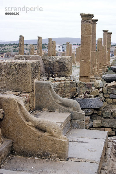 Latrine  römische Website von Timgad  UNESCO World Heritage Site  Algerien  Nordafrika  Afrika