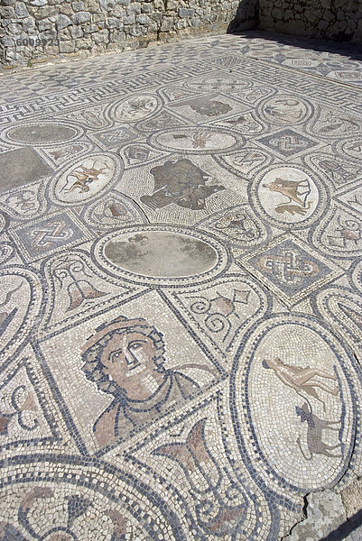 Mosaik von Arbeit von Hercules House  Volubilis  UNESCO World Heritage Site  Marokko  Nordafrika  Afrika