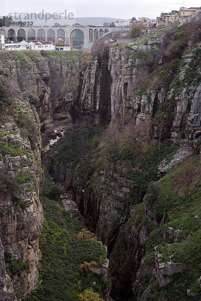 Blick auf die Schlucht  der sich durch die Stadt  Constantine  Algerien  Nordafrika  Afrika