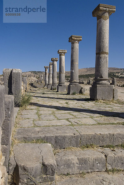 Decumanus Maximus (wichtigsten Ost-West-Straße)  römische Website von Volubilis  UNESCO World Heritage Site  Marokko  Nordafrika  Afrika