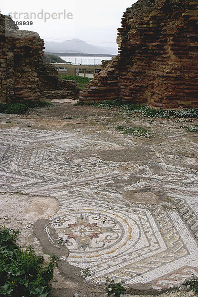 Mosaik aus römischen Cherchell  begraben unter der neuen Stadt  Cherchell  Algerien  Nordafrika  Afrika