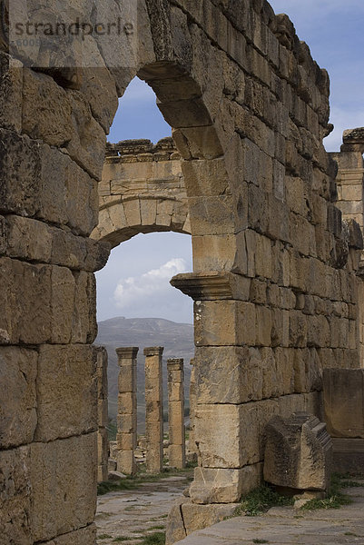 Cardo (der Nord-Süd Hauptstrae)  römische Website Djemila  UNESCO World Heritage Site  Algerien  Nordafrika  Afrika