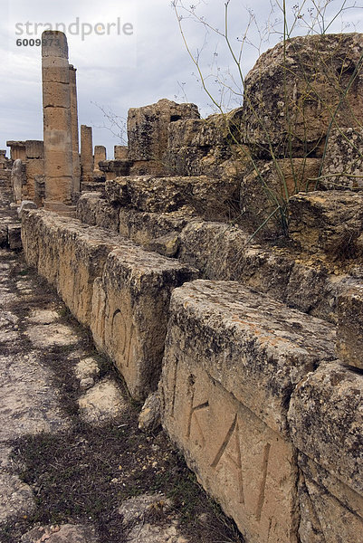 Agora  griechische und römische Ruinen  Kyrene  UNESCO-Weltkulturerbe  Libyen  Nordafrika  Afrika