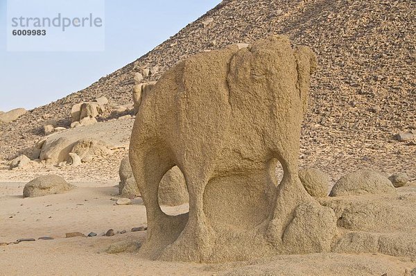 Sand Skulptur sah aus wie ein Elefant  Sahara  Algerien  Nordafrika  Afrika