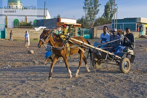 Pferdewagen  die Begegnung der Menschen Heimat  Robe  Bale Mountains  Äthiopien  Afrika