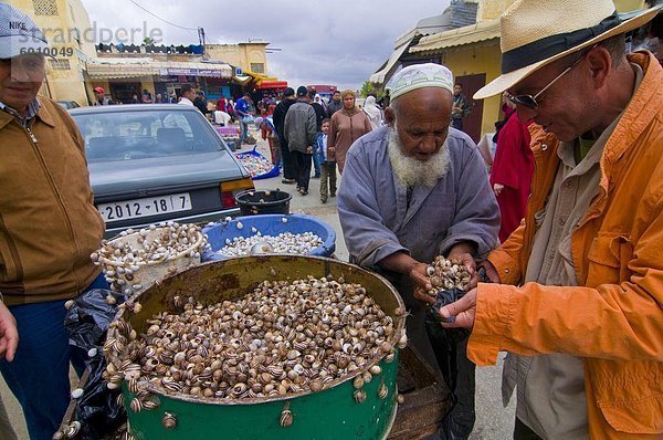 Man Schnecken im Basar von Meknès  Marokko  Nordafrika  Afrika zu verkaufen