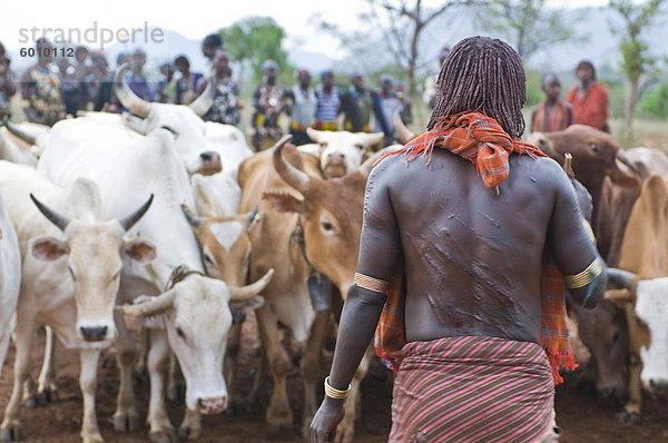 Blutende Hamer Frau nach wird gepeitscht  Jumping Bull Zeremonie  Omo-Tal  Äthiopien  Afrika