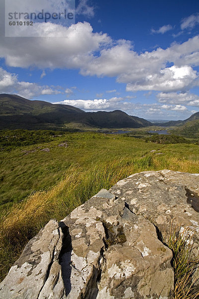 Ladies View  Killarney Nationalpark  County Kerry  Munster  Irland  Europa