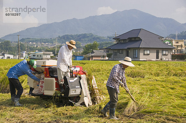 Ernten Reis durch Maschine  in der Nähe von Oita Stadt  Kyushu  Japan  Asien