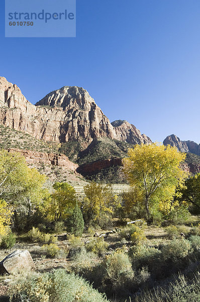 Zion Nationalpark  Utah  Vereinigte Staaten von Amerika  Nordamerika