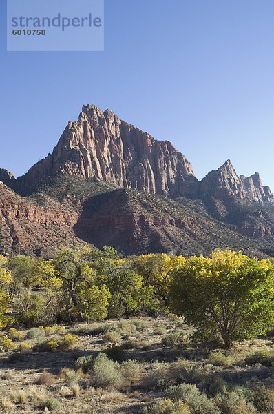 Landschaft in der Nähe von Zion Nationalpark  Utah  Vereinigte Staaten von Amerika  Nordamerika