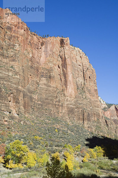 Zion Nationalpark  Utah  Vereinigte Staaten von Amerika  Nordamerika