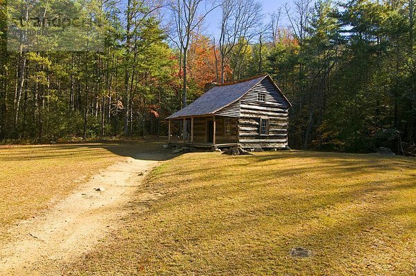 Vereinigte Staaten von Amerika USA Sommer bunt Indianer Nordamerika Laub alt Tennessee