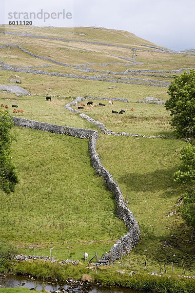 nahe  Landschaftlich schön  landschaftlich reizvoll  Europa  Großbritannien  England  Kalkstein  North Yorkshire