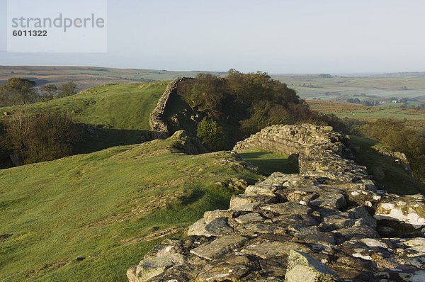 Ansicht West am Walltown Klippen  Hadrianswall  UNESCO Weltkulturerbe  Northumberland  England  Vereinigtes Königreich  Europa