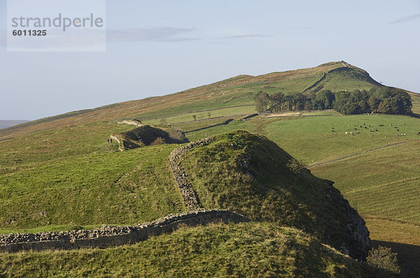 Die Mauer Ost zu Stahl Rigg und Windschutzscheiben Crag  Hadrianswall  UNESCO World Heritage Site  Northumberland  England  Vereinigtes Königreich  Europa