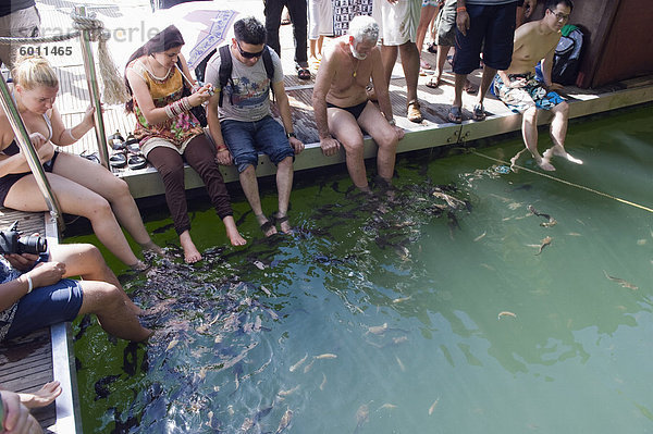 Fisch-Therapie  Langkawi Island  Bundesstaat Kedah  Malaysia  Südostasien  Asien