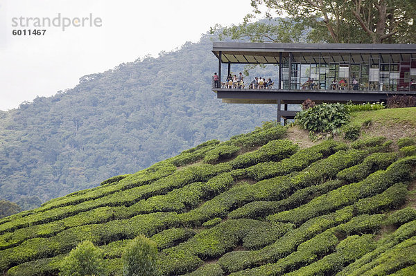 Tee-Shop auf einer Teeplantage  BOH Sungai Palas-Teeplantage  Cameron Highlands  Perak state  Malaysia  Südostasien  Asien