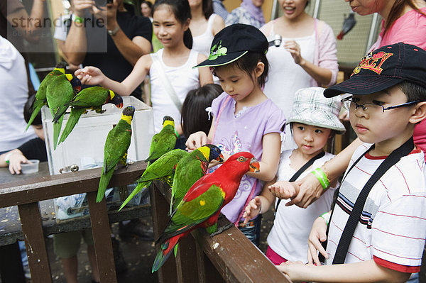 Kinder Fütterung Sittiche in Welt von Papageien  KL Vogelpark  Kuala Lumpur  Malaysia  Südostasien  Asien