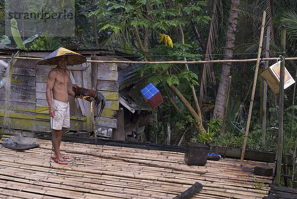 IBAN Häuptling unter einem Hahn zur Schlachtung aus Bambus Langhaus Veranda  Lemanak Flusses  Sarawak  Malaysia Borneo  Malaysia  Südostasien  Asien