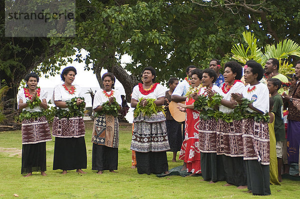 Inselbewohner durchführen  traditionelle Lieder und Tanz  Beg Island  Fiji  Südsee  Pazifik