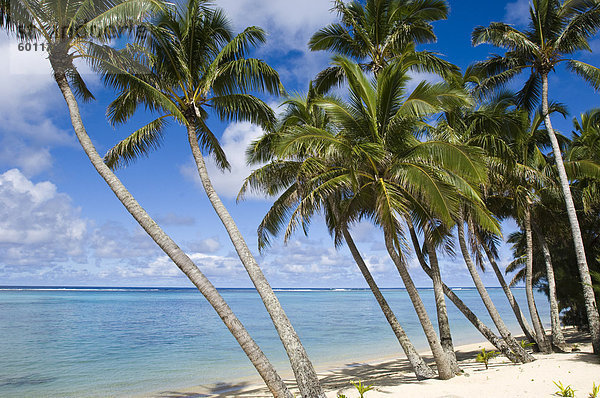 Rarotonga  Cook-Inseln  Süd-Pazifik  Pazifik