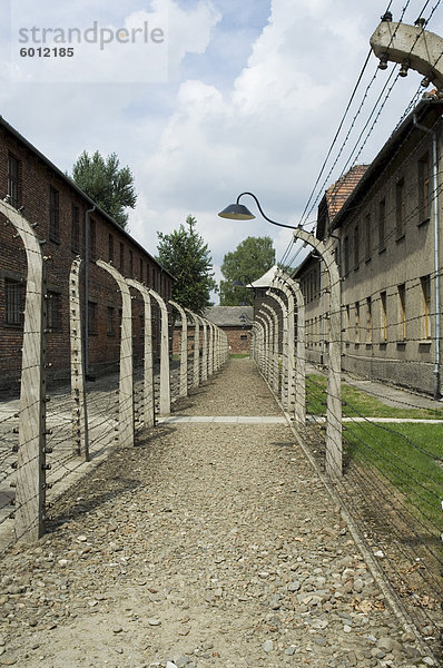 Elektrozaun  Auschwitz-Konzentrationslager  jetzt ein Denkmal und Museum  UNESCO Weltkulturerbe  Oswiecim nahe Krakow (Krakau)  Polen  Europa
