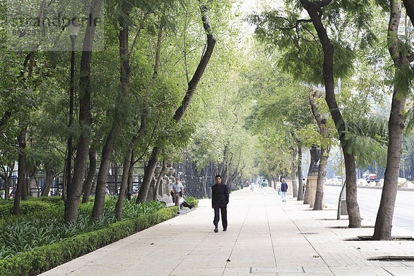 Paseo De La Reforma  Reforma  Mexico City  Mexiko  Nordamerika