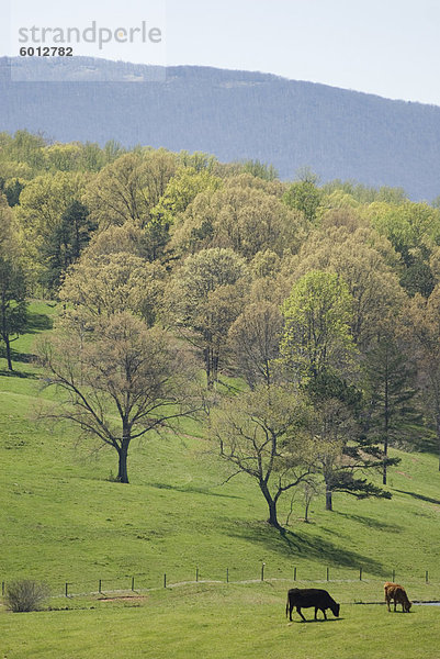 Blue Ridge Farm  Virginia historische Landmark  Virginia  Vereinigte Staaten  Nordamerika